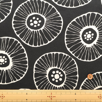 �J���[�o���G�[�V����