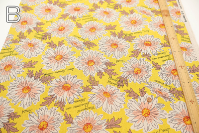 �J���[�o���G�[�V����