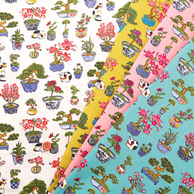 �J���[�o���G�[�V����