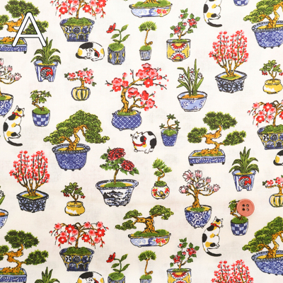 �J���[�o���G�[�V����