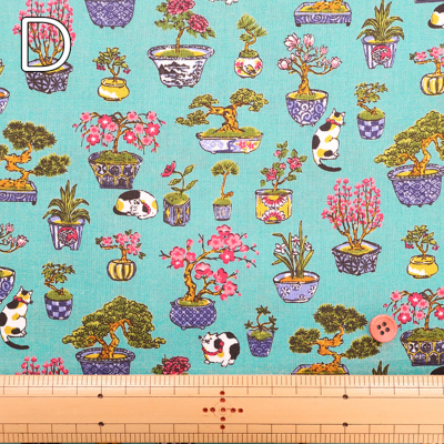 �J���[�o���G�[�V����