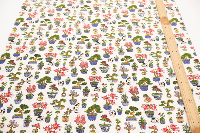 �J���[�o���G�[�V����