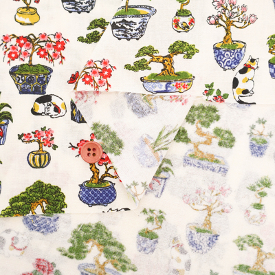 �J���[�o���G�[�V����