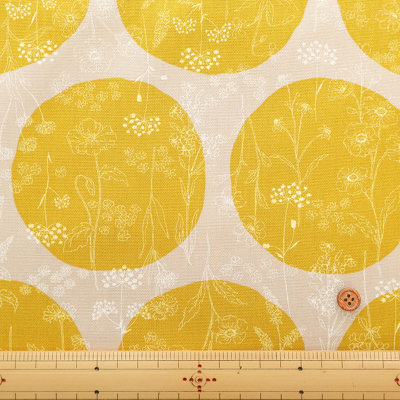 �J���[�o���G�[�V����