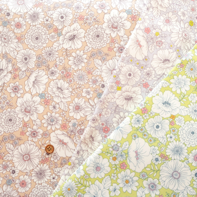 �J���[�o���G�[�V����