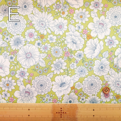 �J���[�o���G�[�V����