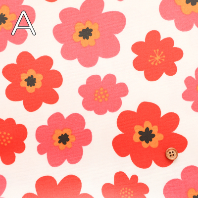 �J���[�o���G�[�V����