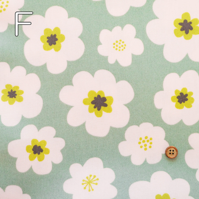 �J���[�o���G�[�V����