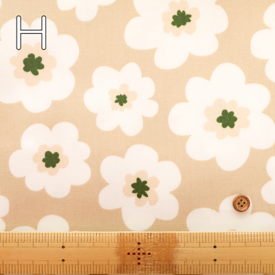 �J���[�o���G�[�V����