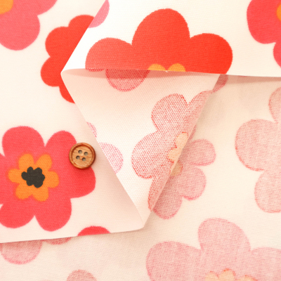 �J���[�o���G�[�V����