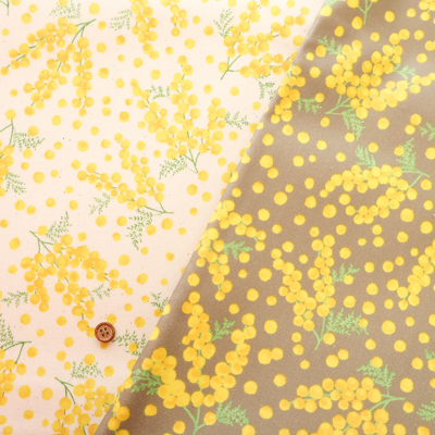 �J���[�o���G�[�V����