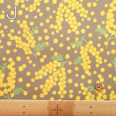 �J���[�o���G�[�V����