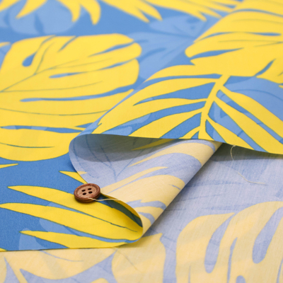 �J���[�o���G�[�V����