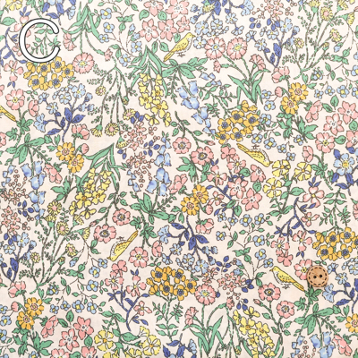 �J���[�o���G�[�V����