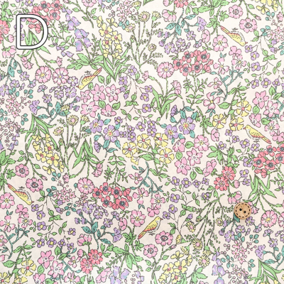 �J���[�o���G�[�V����