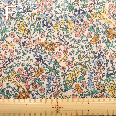 �J���[�o���G�[�V����