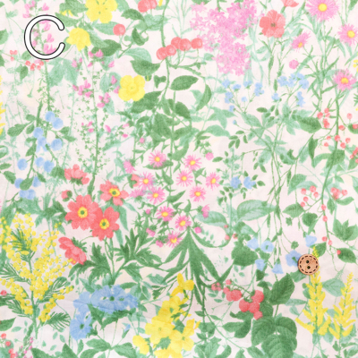 �J���[�o���G�[�V����