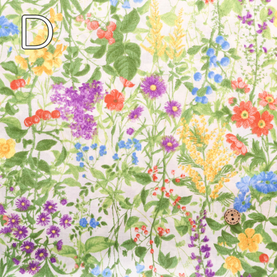 �J���[�o���G�[�V����