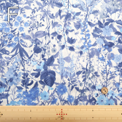 �J���[�o���G�[�V����