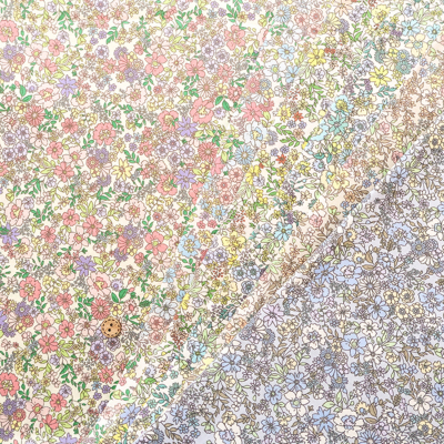 �J���[�o���G�[�V����