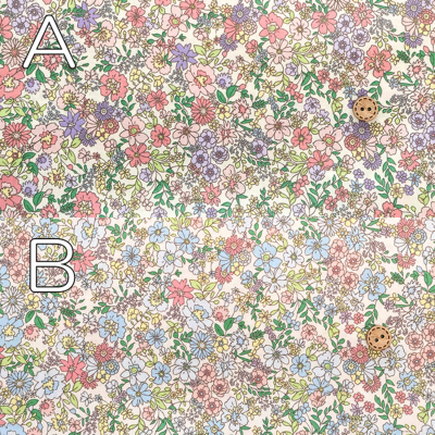 �J���[�o���G�[�V����