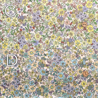 �J���[�o���G�[�V����