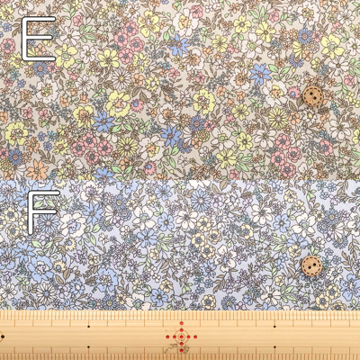 �J���[�o���G�[�V����