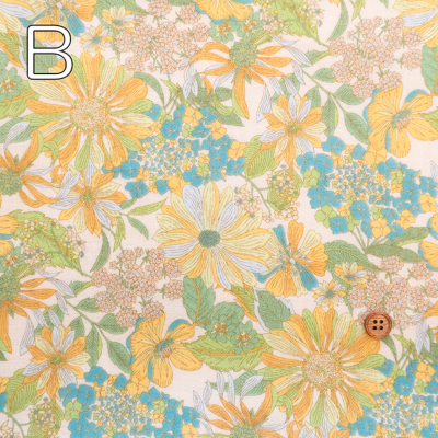 �J���[�o���G�[�V����