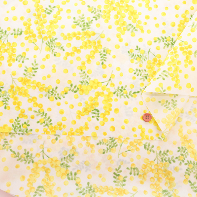 �J���[�o���G�[�V����