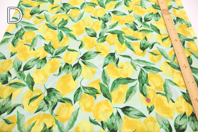 �J���[�o���G�[�V����