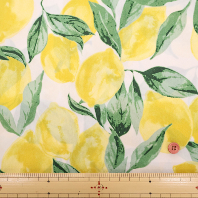 �J���[�o���G�[�V����