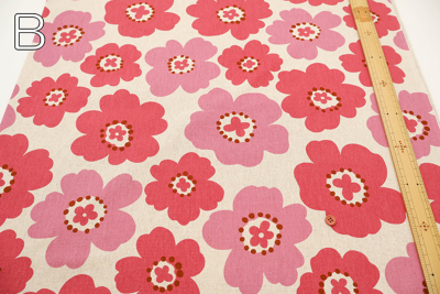 �J���[�o���G�[�V����