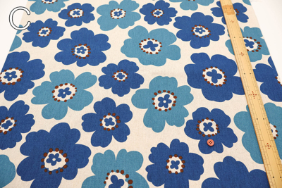 �J���[�o���G�[�V����