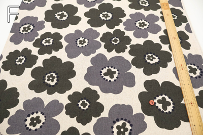 �J���[�o���G�[�V����