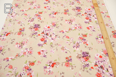 �J���[�o���G�[�V����