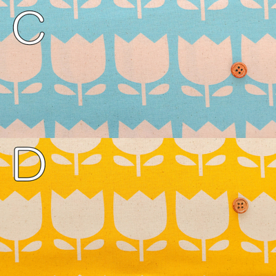 �J���[�o���G�[�V����