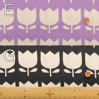 �J���[�o���G�[�V����