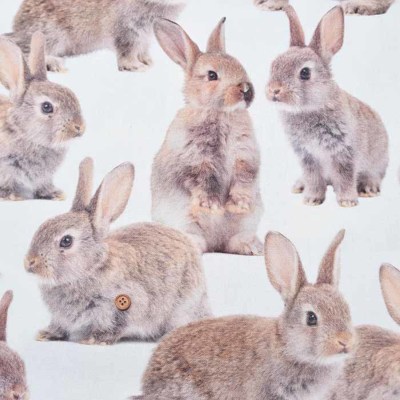 オランダ製　B&B fabric コットンプリント生地　RABBIT