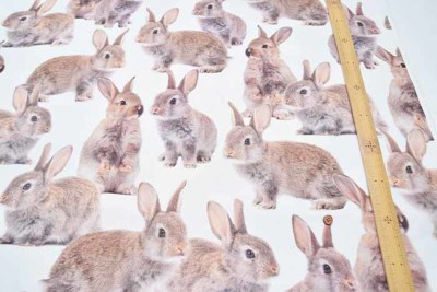 オランダ製 B&B fabric コットンプリント生地 RABBIT生地の通販