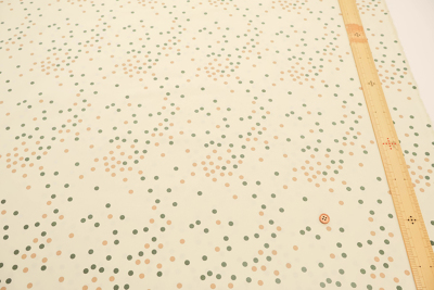 �J���[�o���G�[�V����