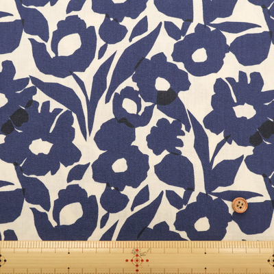 �J���[�o���G�[�V����