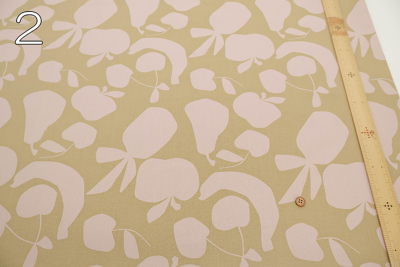 �J���[�o���G�[�V����