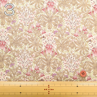 �J���[�o���G�[�V����