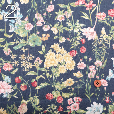 �J���[�o���G�[�V����