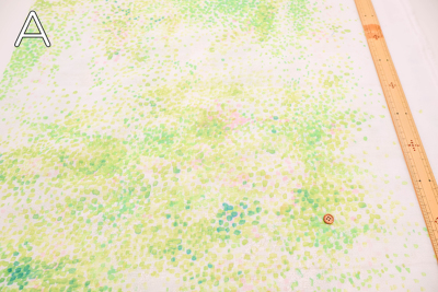 �J���[�o���G�[�V����