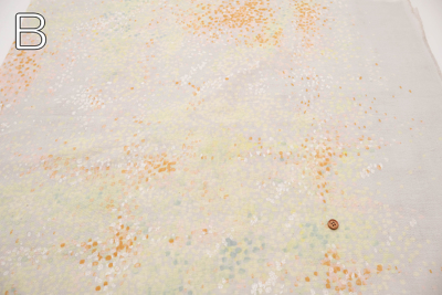 �J���[�o���G�[�V����