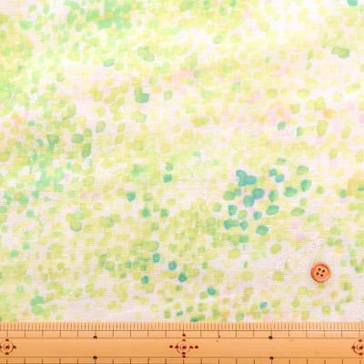 �J���[�o���G�[�V����