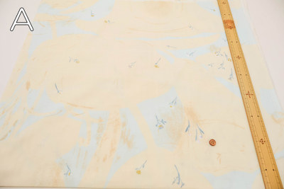 �J���[�o���G�[�V����