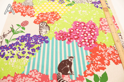 �J���[�o���G�[�V����