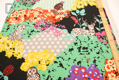 �J���[�o���G�[�V����